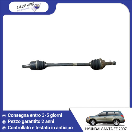 Semiasse posteriore - 🇮🇹,
